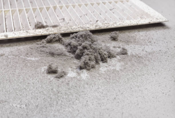 Best Ductwork Cleaning Services  in Gladstone, MO