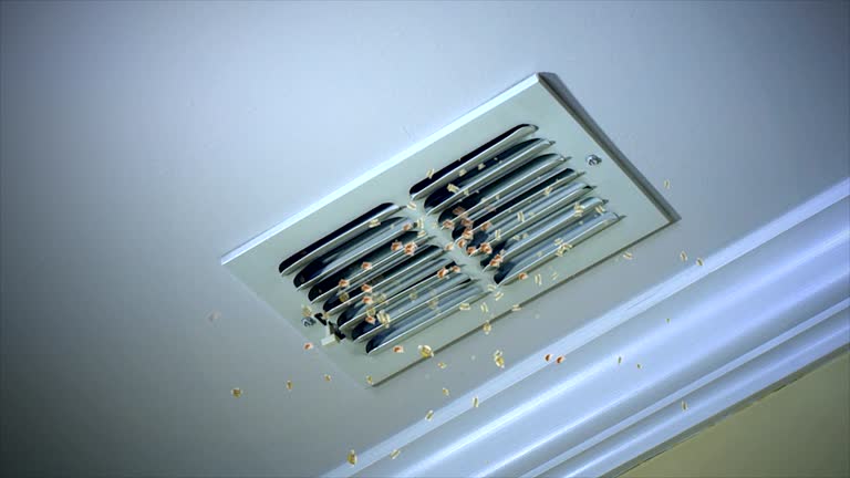 Best Emergency Air Duct Cleaning  in Gladstone, MO
